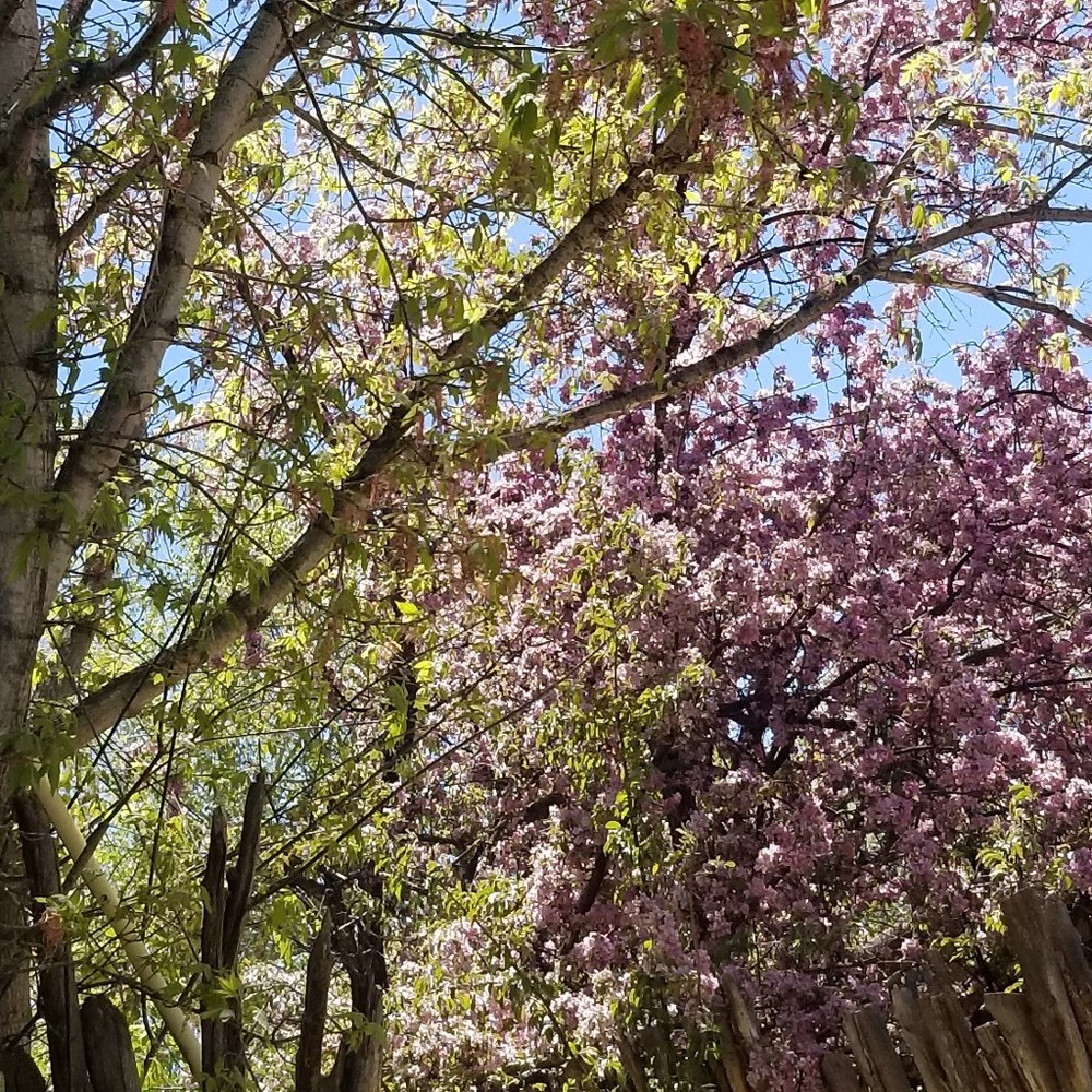 Meet your Posher, Fanny